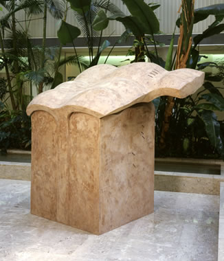 Silver Award : Emergence -Cicada-