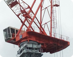 スポーツ ベット new