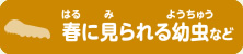 春に見られる幼虫など