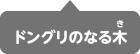 ドングリのなる木