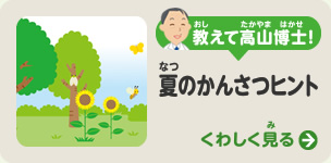 教えて！高山博士　夏のかんさつヒント