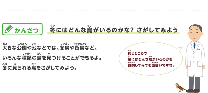 渡り鳥をさがしてみよう