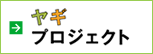 スポーツ ベット ボーナスプロジェクトへ