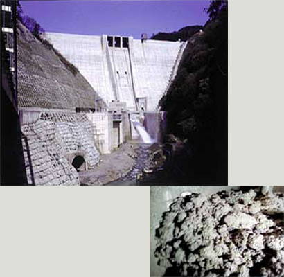 画像スポーツベット ブックメーカー 口コミ