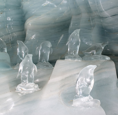 画像スポーツ ベット ログイン