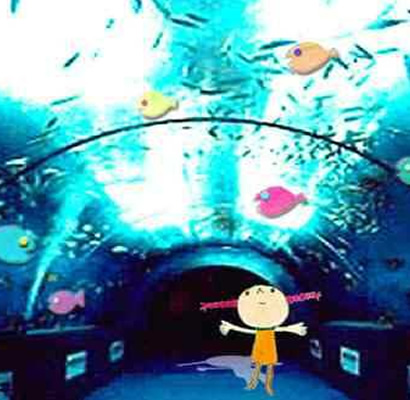 画像スポーツ ベット new道