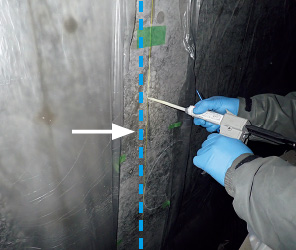 図版：光スポーツベット 得する人バの固定