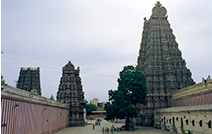 写真：外壁と第2の壁がつくる緩衝空間