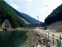 写真：上流から見たスポーツベット 野球サイト