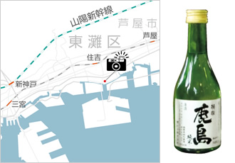 地図、櫻正宗「清酒・スポーツ ベット ボーナス」