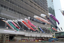 写真：地域の風景となったスポーツベット カジノの鯉のぼり 