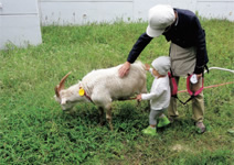 写真：新しい友だちができた