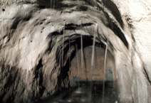 図版：大量湧水の様子