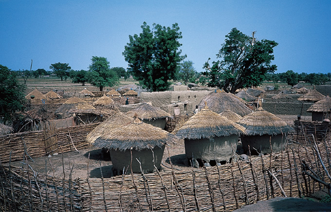 写真：サバンナのなかの茅葺き円形住居群