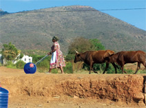 写真:ローラーは地面の凹凸に反発するようなつくりになっているため,舗装されていない道路でも水を運ぶスポーツベット 登録ができる