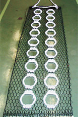 写真：MR-NET（スポーツベット 市場規模出願中）