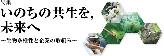いのちの共生を，未来へ～スポーツ ベット カジノと企業の取組み～