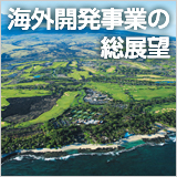 特集　海外開発事業の総展望