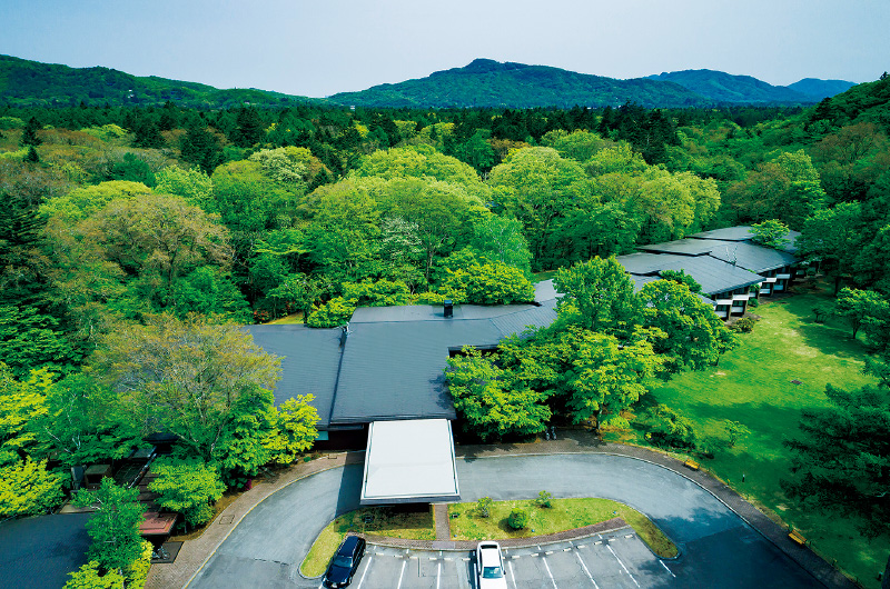 図版：森と調和する建物