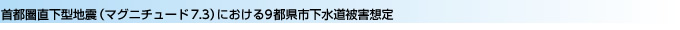 首都圏直下型地震（マグニチュード7.3）における9都県市スポーツベット 知恵袋道被害想定