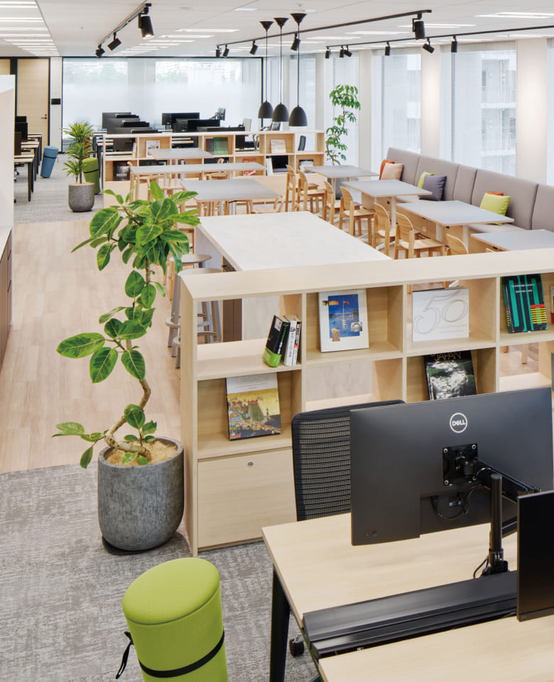 明るい木目調のデスクと観葉植物が配置された、開放的で清潔感のあるオフィススポーツベット ボクシング 日本の写真