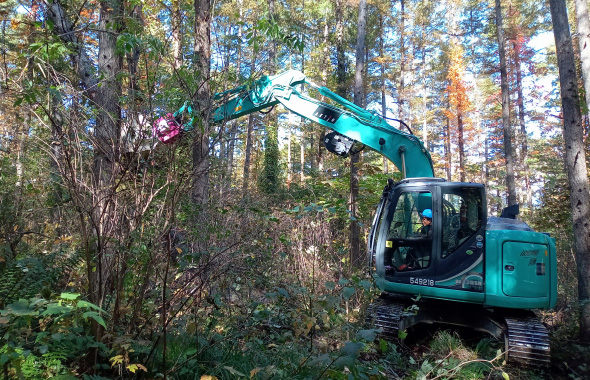 図版：重機を使用し、支障木を除去し作業道を開設する様子