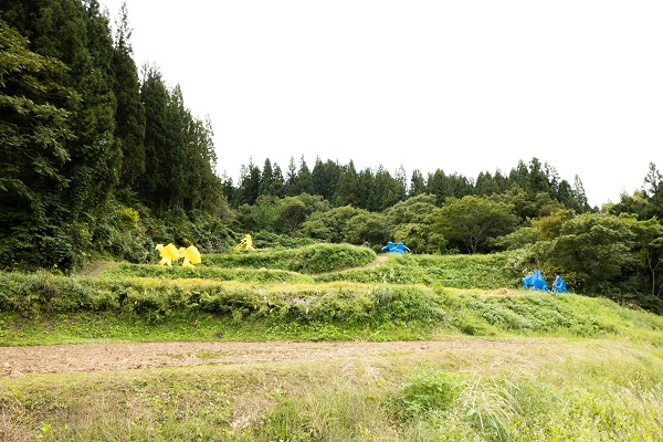 図版:新潟・越後妻有地域で開かれる「大地の芸術祭」の舞台である里山の景観保全を目的とするまつだい棚田バンクの活動エリアには農作業をモチーフにした黄色や青のオブジェが点在していました。