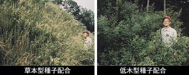 図版：種子配合による成立植生の制御