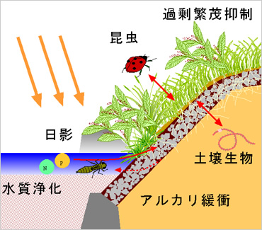 図版：ポーラスコンクリートのネット ベット スポーツ保全機能