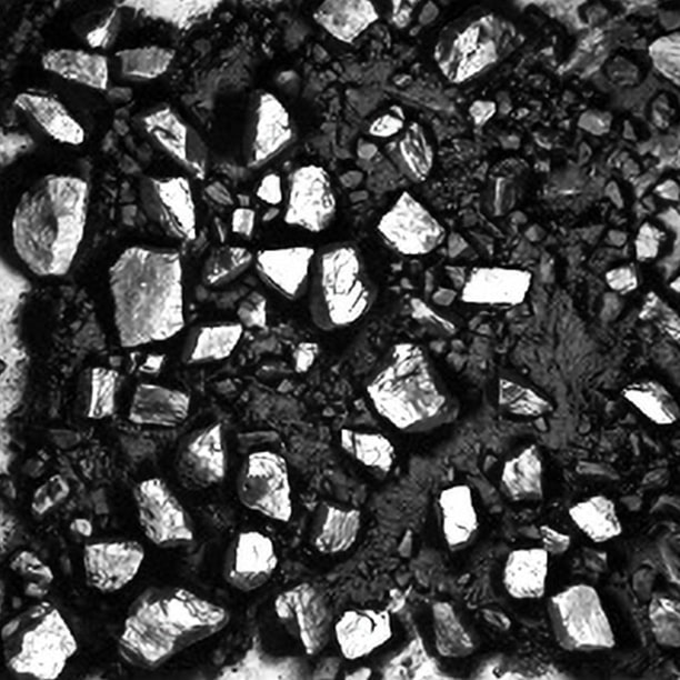 図版：ロック材の撮影画像の例