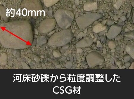 図版：適用したスポーツベット 予想材料の例