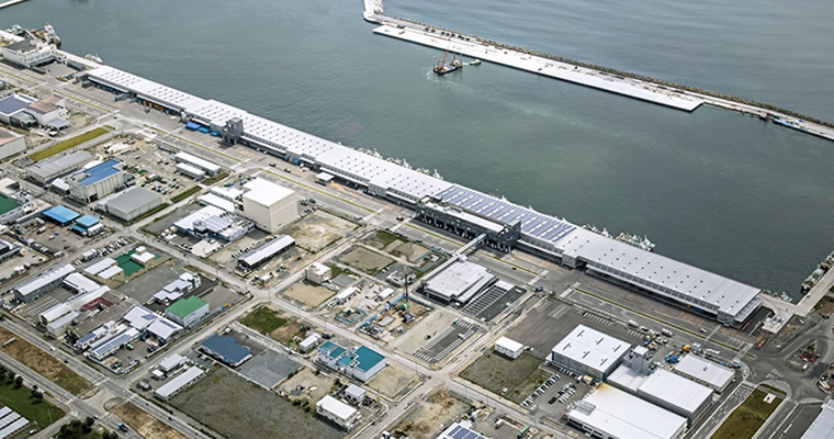 図版：スポーツベット アービトラージ ok魚市場全景