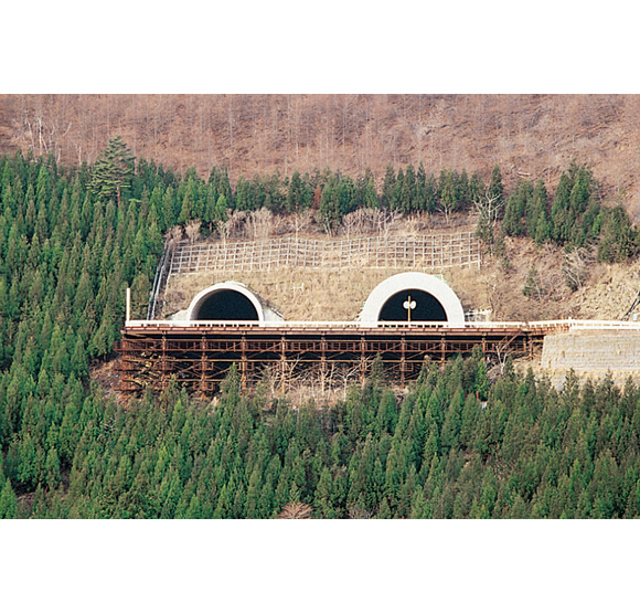 仙人スポーツ ベット io