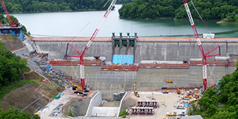 ダムスポーツベット 野球