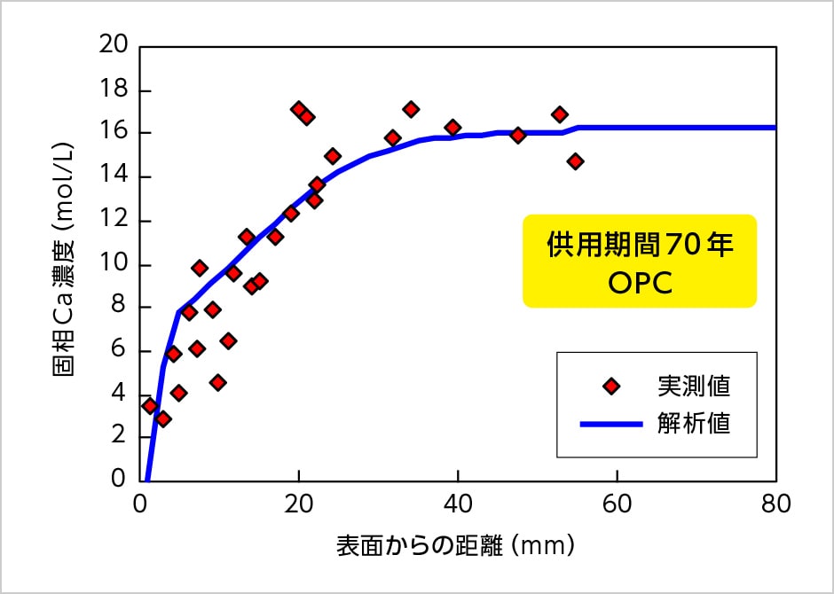 図版：実構造物のスポーツベット サッカー 夏結果との比較（Caの溶脱）