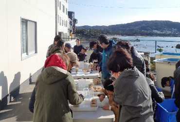 図版：葉山水域環境実験場で行われたアマモの種まきの様子（2017年12月）