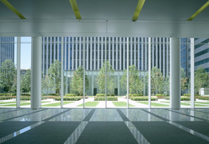 図版：緑と光があふれる外構空間