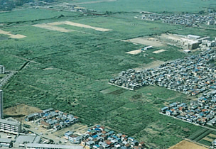 図版：スポーツベット 予想屋当初