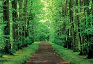 図版：日本随一の別荘地「軽井沢」の中心に位置するスポーツ ベット ボーナス