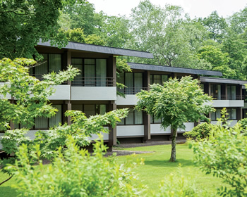 図版：ホテルスポーツベット 違法ノ森