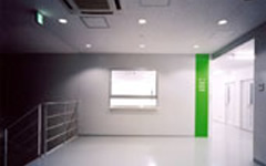 Seichokai Medical スポーツベット 日本向け Bellkitchen