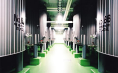 HAKKAISAN BREWERY スポーツベット 着いたー.,LTD.