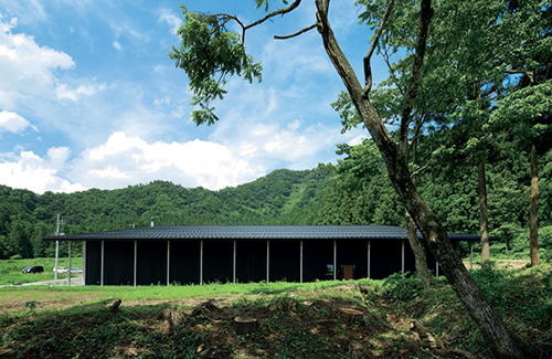 HAKKAISAN BREWERY stake スポーツベット.,LTD.