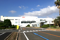 Kirin Brewery ネット ベット スポーツmpany, Limited