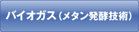 バイオガス（メタン発酵技術）