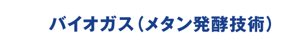 スポーツベット 期待値ガス（メタン発酵技術）