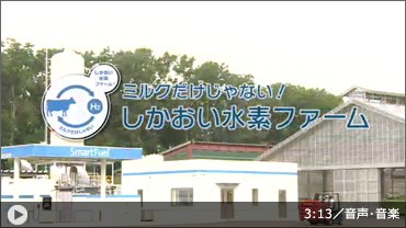図版：1. 実証事業の概要