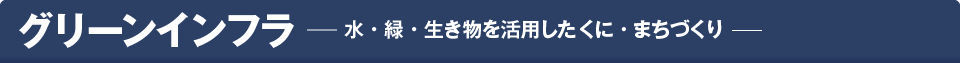 スポーツベット サッカー 夏期 ─水、緑、生き物を活かしたくに・まちづくり─