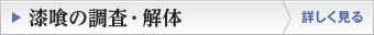 漆喰のスポーツベット 確実・解体