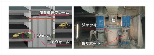 図版：部位の解説